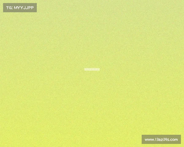 自由搏击十大高手排名